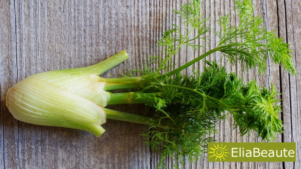 Les graines de fenouil : la star de la beauté naturel